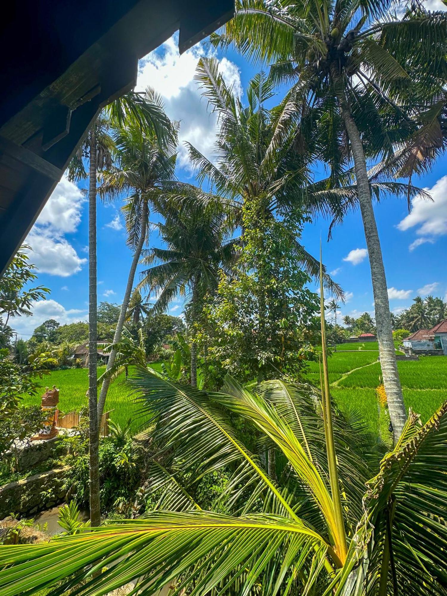 Nunu Bali Eco Friendly Retreat Hotel ชังกู ภายนอก รูปภาพ