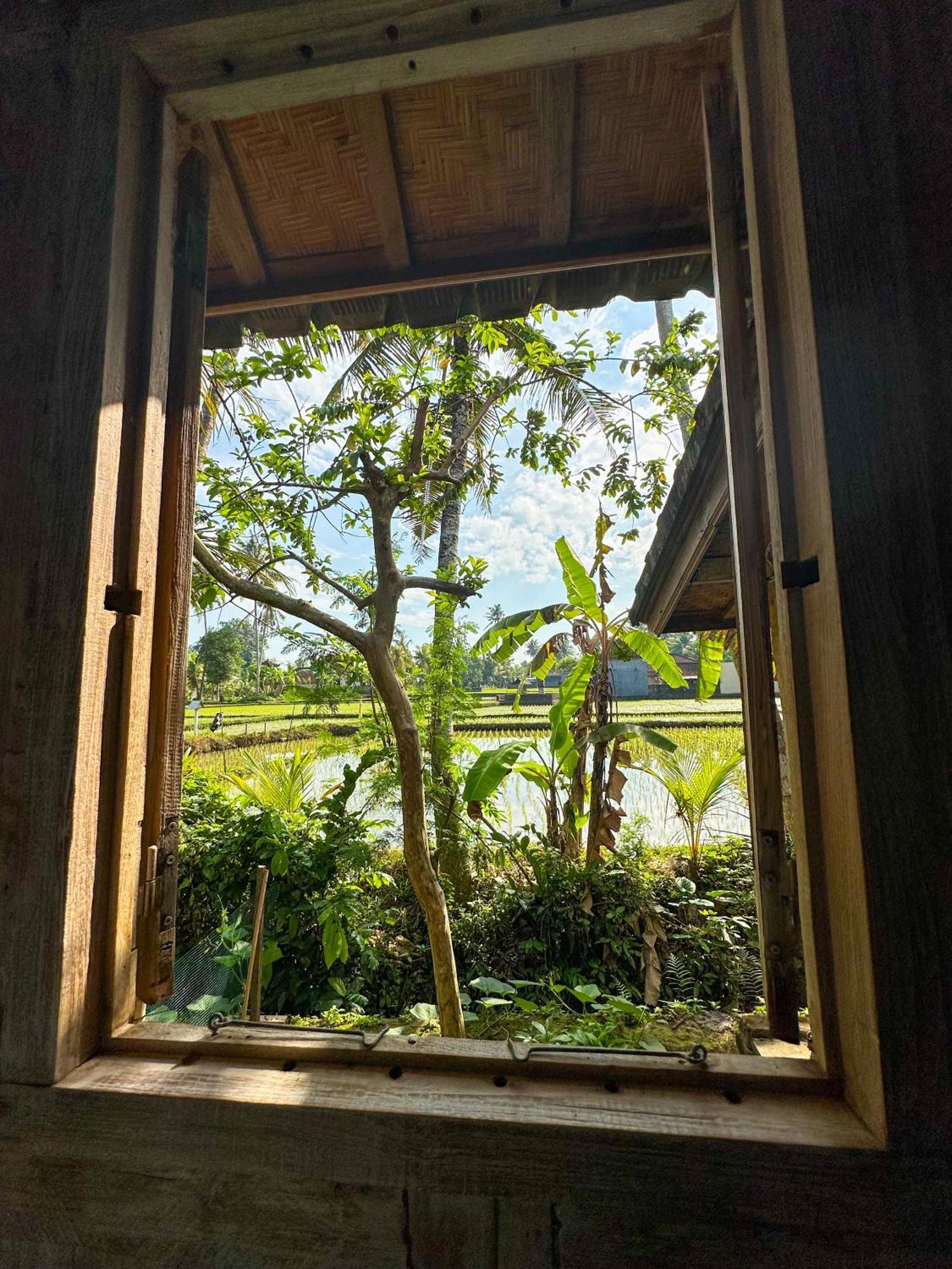 Nunu Bali Eco Friendly Retreat Hotel ชังกู ภายนอก รูปภาพ